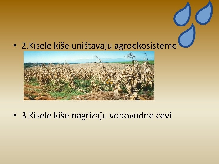  • 2. Kisele kiše uništavaju agroekosisteme • 3. Kisele kiše nagrizaju vodovodne cevi