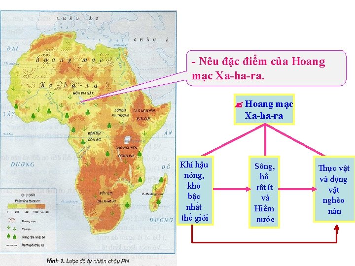 - Nêu đặc điểm của Hoang mạc Xa-ha-ra Khí hậu nóng, khô bậc nhất