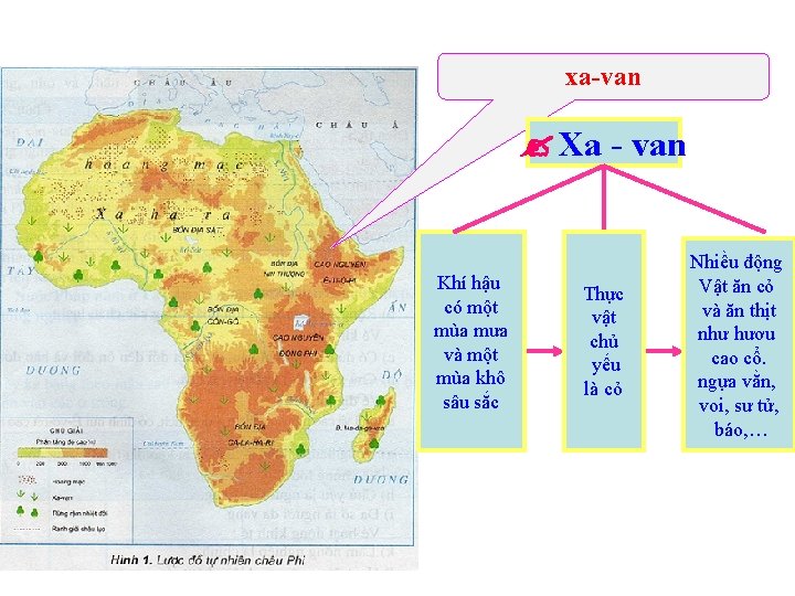 xa-van Xa - van Khí hậu có một mùa mưa và một mùa khô