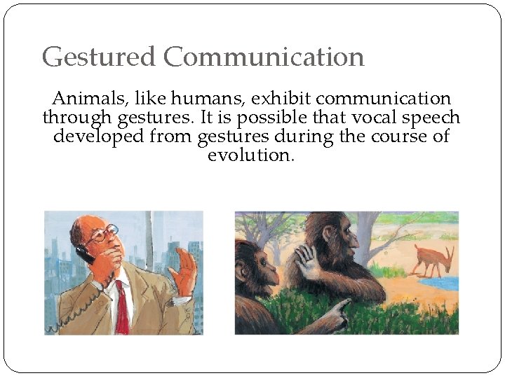 Gestured Communication Animals, like humans, exhibit communication through gestures. It is possible that vocal