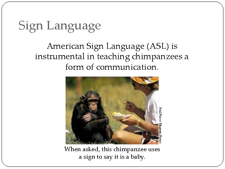 Sign Language American Sign Language (ASL) is instrumental in teaching chimpanzees a form of