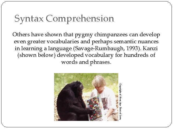 Syntax Comprehension Others have shown that pygmy chimpanzees can develop even greater vocabularies and