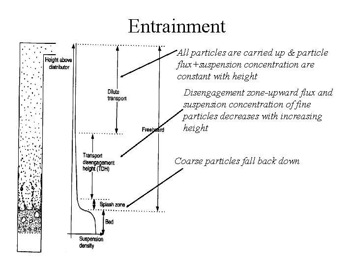 Entrainment All particles are carried up & particle flux+suspension concentration are constant with height