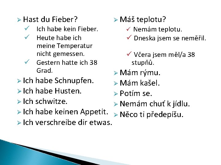 Ø Hast du Fieber? ü Ich habe kein Fieber. ü Heute habe ich meine