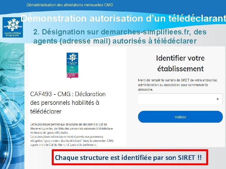 Dématérialisation des attestations mensuelles CMG Démonstration autorisation d’un télédéclarant 2. Désignation sur demarches-simplifiees. fr, Dématérialisation des attestations mensuelles CMG Démonstration autorisation d’un télédéclarant 2. Désignation sur demarches-simplifiees. fr,