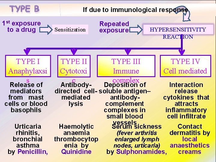 TYPE B 1 st exposure to a drug TYPE I Anaphylaxsi s Release of