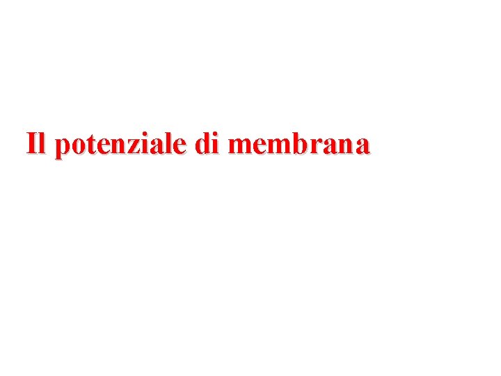 Il potenziale di membrana 