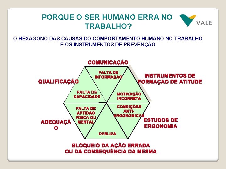 PORQUE O SER HUMANO ERRA NO TRABALHO? O HEXÁGONO DAS CAUSAS DO COMPORTAMENTO HUMANO