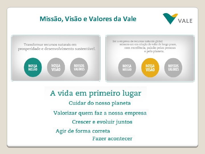 Missão, Visão e Valores da Vale 