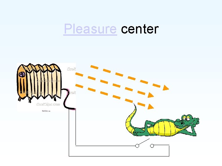 Pleasure center 