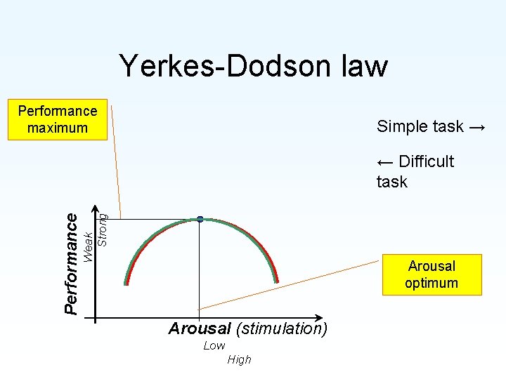 Yerkes-Dodson law Simple task → ← Difficult task Weak Strong Performance maximum Arousal optimum