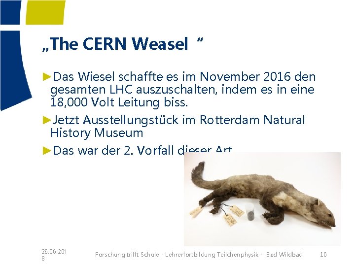 „The CERN Weasel“ ►Das Wiesel schaffte es im November 2016 den gesamten LHC auszuschalten,