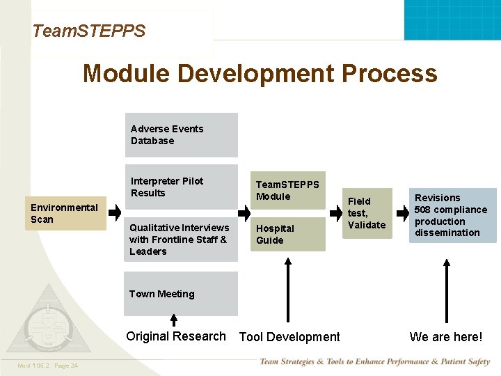 Team. STEPPS Module Development Process Adverse Events Database Environmental Scan Interpreter Pilot Results Team. Team. STEPPS Module Development Process Adverse Events Database Environmental Scan Interpreter Pilot Results Team.