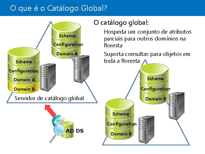 O que é o Catálogo Global? O catálogo global: Schema Configuration Domain A Schema