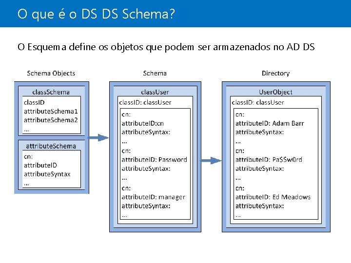 O que é o DS DS Schema? O Esquema define os objetos que podem