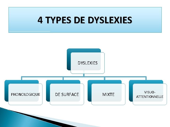 4 TYPES DE DYSLEXIES PHONOLOGIQUE DE SURFACE MIXTE VISUOATTENTIONNELLE 