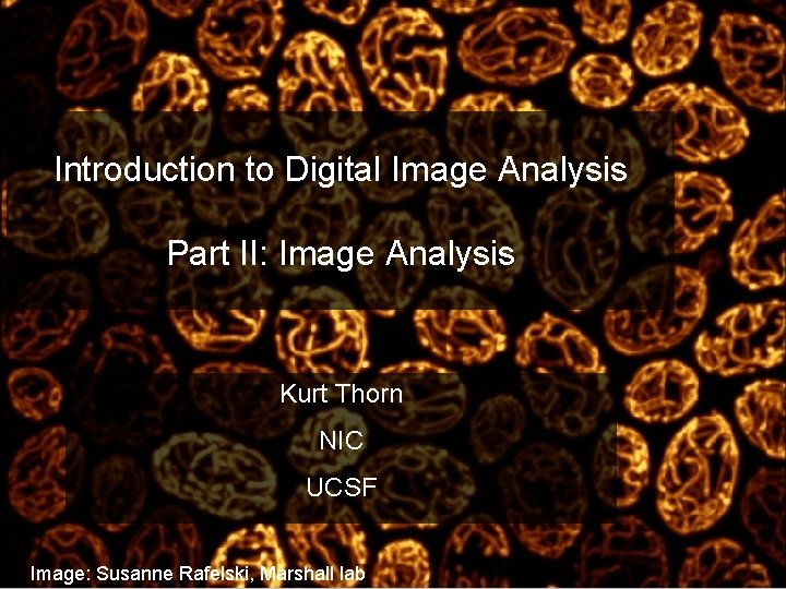 Introduction to Digital Image Analysis Part II: Image Analysis Kurt Thorn NIC UCSF Image: