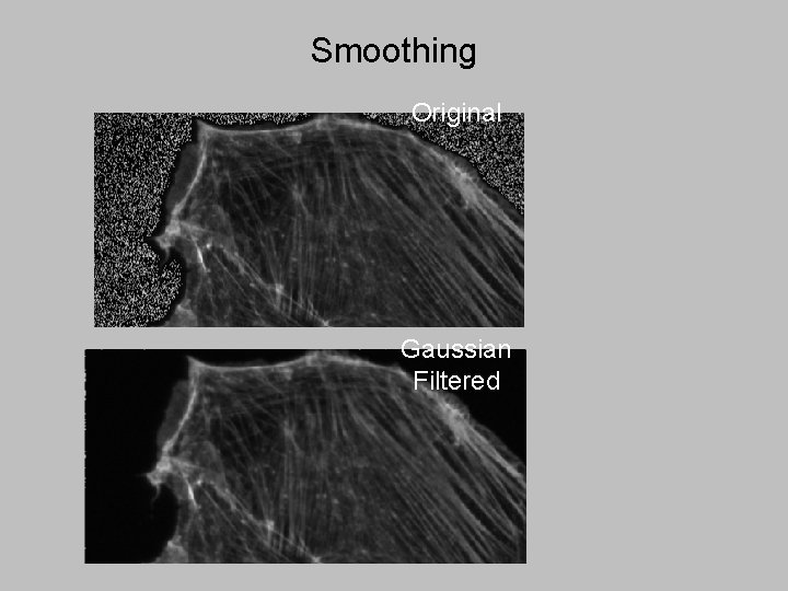 Smoothing Original Gaussian Filtered 