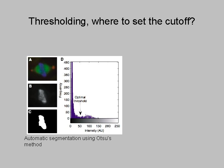 Thresholding, where to set the cutoff? Automatic segmentation using Otsu’s method 