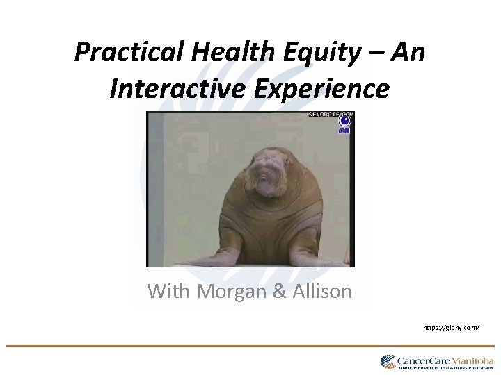 Practical Health Equity – An Interactive Experience With Morgan & Allison https: //giphy. com/ Practical Health Equity – An Interactive Experience With Morgan & Allison https: //giphy. com/