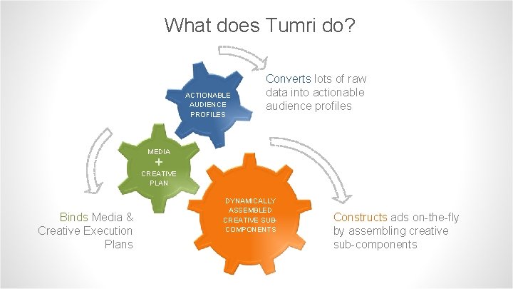 What does Tumri do? ACTIONABLE AUDIENCE PROFILES Converts lots of raw data into actionable