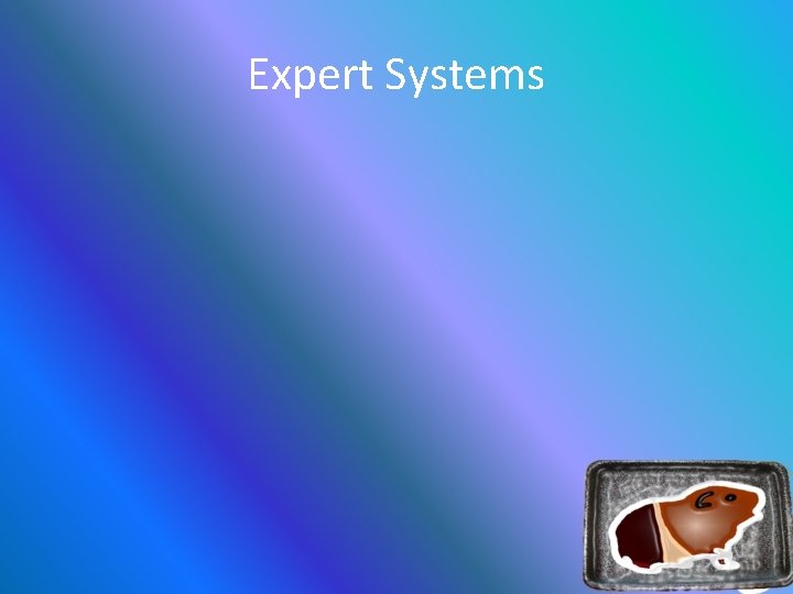 Expert Systems 