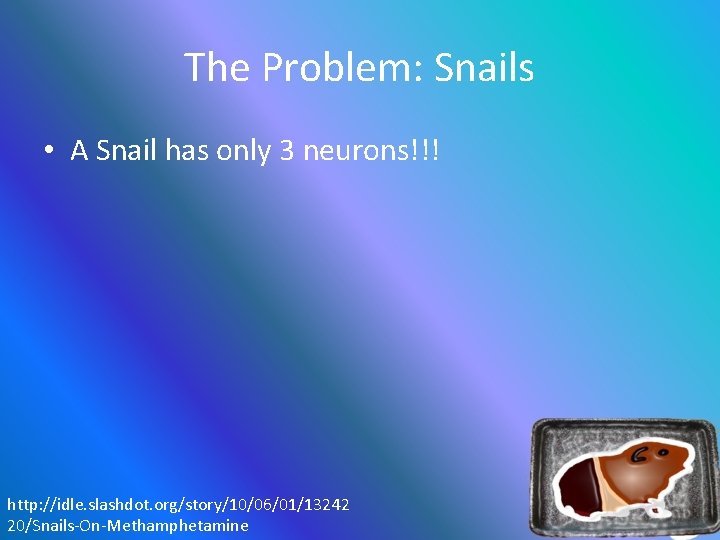 The Problem: Snails • A Snail has only 3 neurons!!! http: //idle. slashdot. org/story/10/06/01/13242