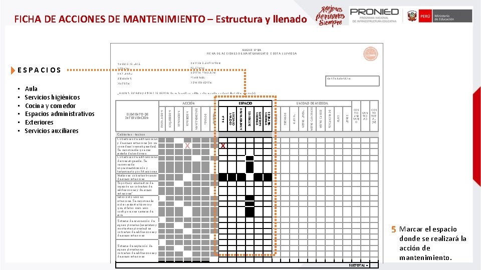 FICHA DE ACCIONES DE MANTENIMIENTO – Estructura y llenado ANEXO Nº 8 A FICHA