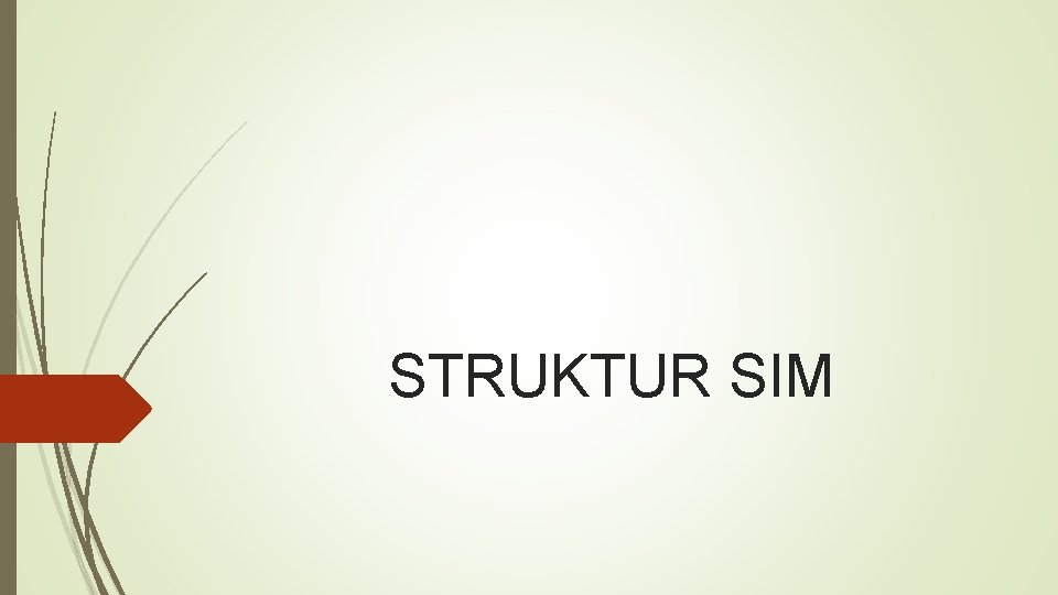STRUKTUR SIM 