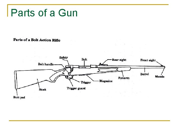 Parts of a Gun 