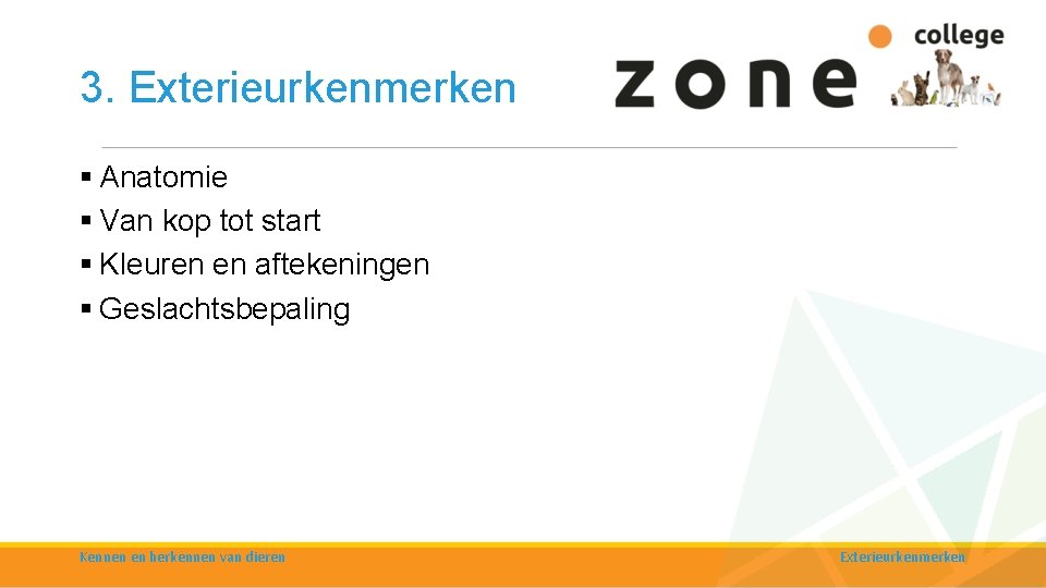 3. Exterieurkenmerken § Anatomie § Van kop tot start § Kleuren en aftekeningen §