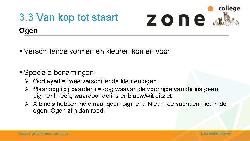 3. 3 Van kop tot staart Ogen § Verschillende vormen en kleuren komen voor 3. 3 Van kop tot staart Ogen § Verschillende vormen en kleuren komen voor