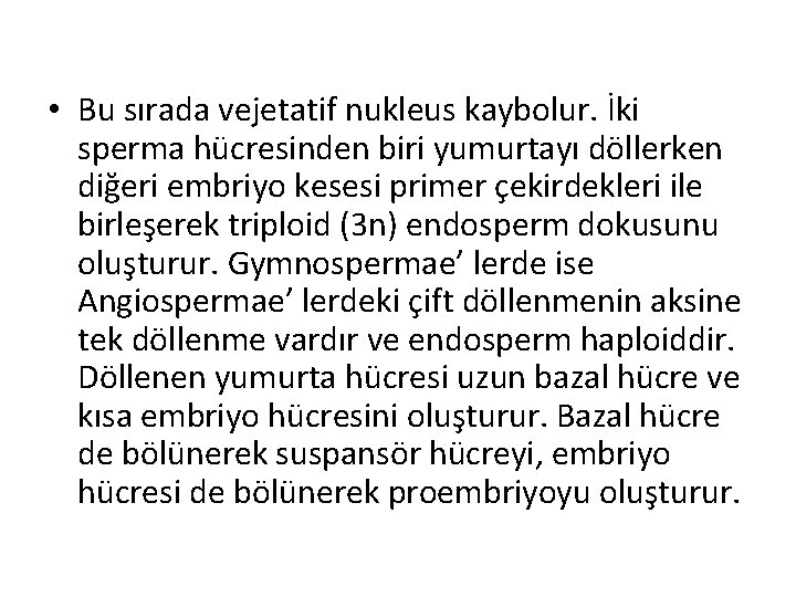  • Bu sırada vejetatif nukleus kaybolur. İki sperma hücresinden biri yumurtayı döllerken diğeri