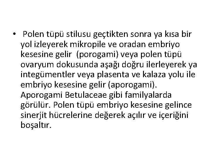  • Polen tüpü stilusu geçtikten sonra ya kısa bir yol izleyerek mikropile ve
