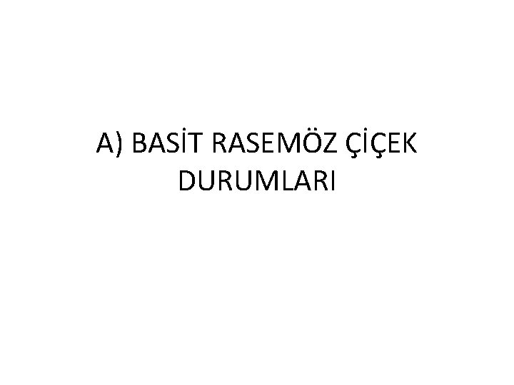 A) BASİT RASEMÖZ ÇİÇEK DURUMLARI 