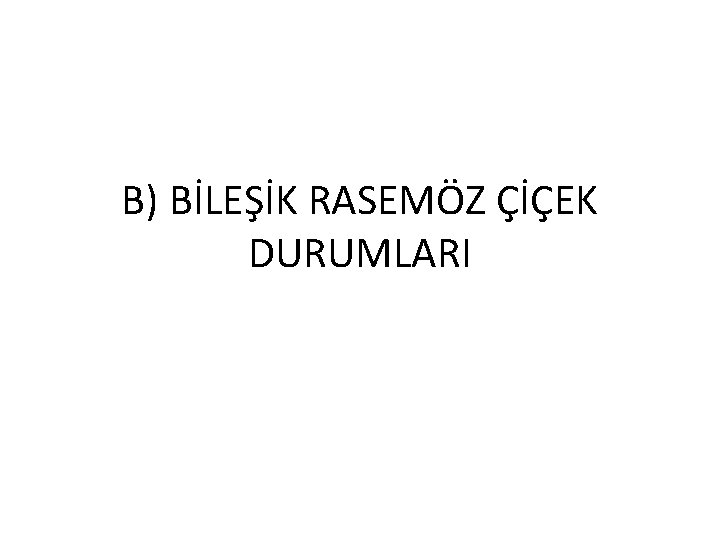 B) BİLEŞİK RASEMÖZ ÇİÇEK DURUMLARI 