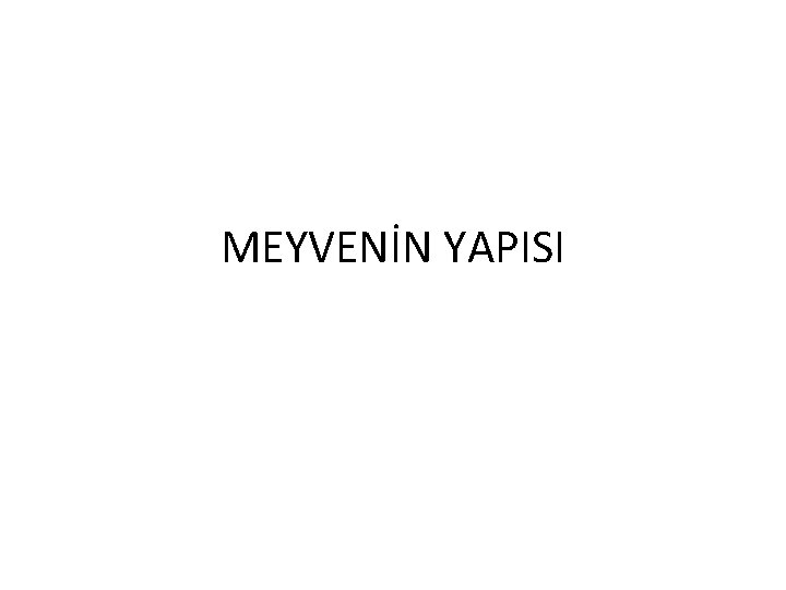 MEYVENİN YAPISI 