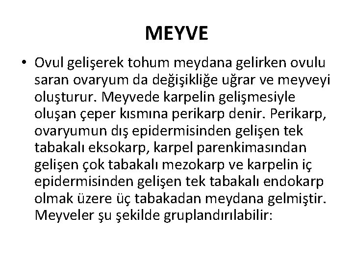 MEYVE • Ovul gelişerek tohum meydana gelirken ovulu saran ovaryum da değişikliğe uğrar ve