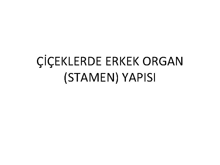 ÇİÇEKLERDE ERKEK ORGAN (STAMEN) YAPISI 