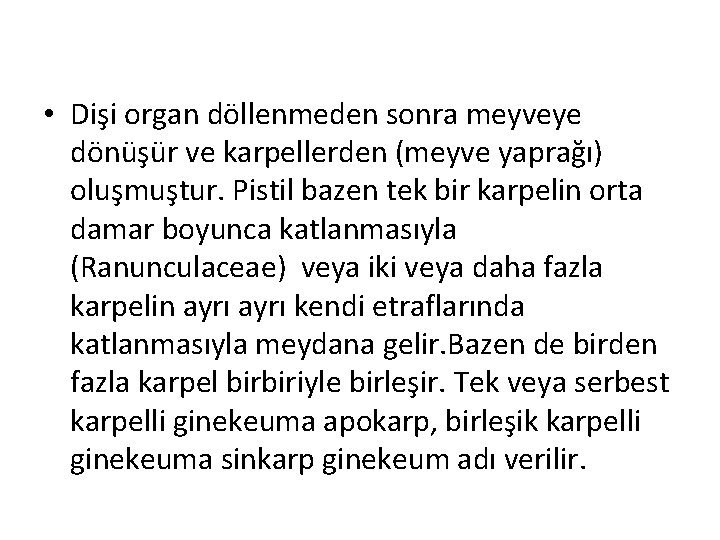  • Dişi organ döllenmeden sonra meyveye dönüşür ve karpellerden (meyve yaprağı) oluşmuştur. Pistil