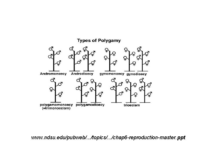 www. ndsu. edu/pubweb/. . . /topics/. . . /chap 6 -reproduction-master. ppt 