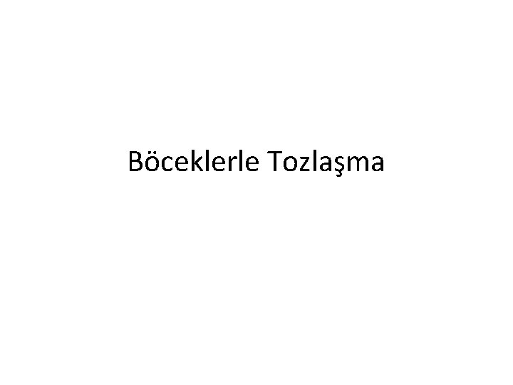 Böceklerle Tozlaşma 