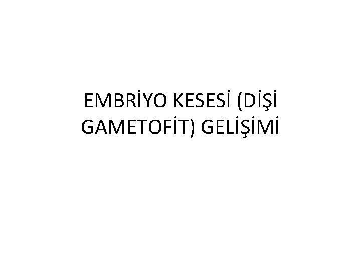 EMBRİYO KESESİ (DİŞİ GAMETOFİT) GELİŞİMİ 