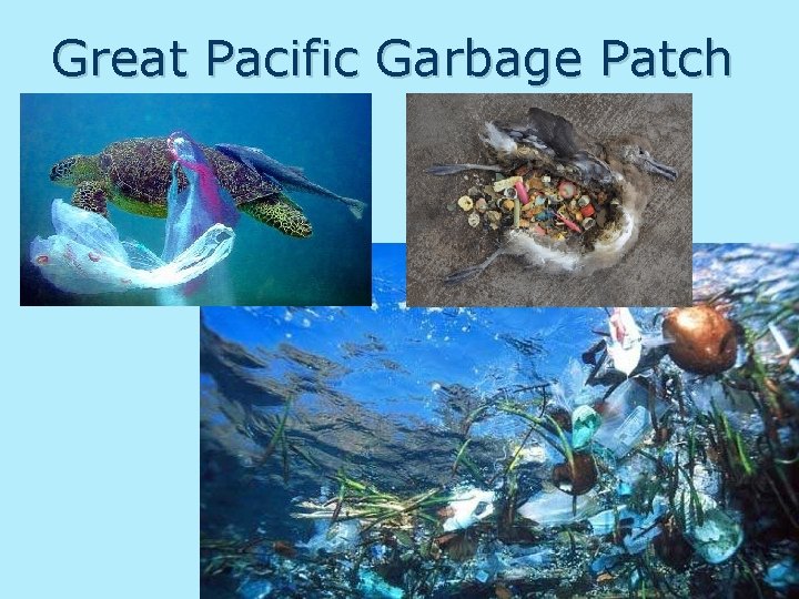 Great Pacific Garbage Patch Great Pacific Garbage Patch