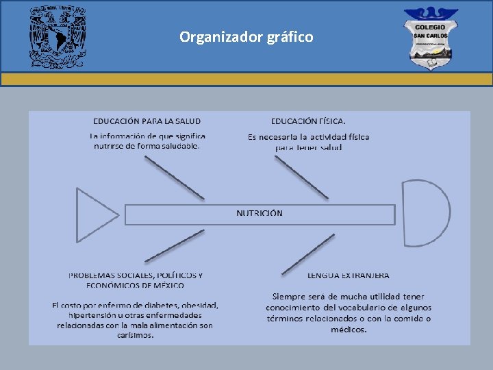 Organizador gráfico 