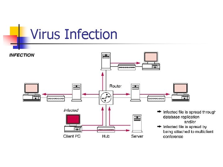 Virus Infection 