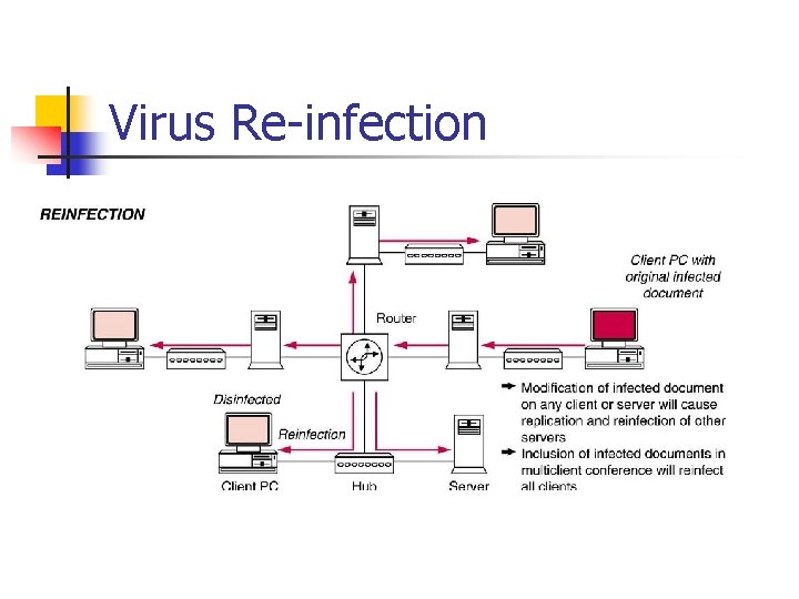Virus Re infection 