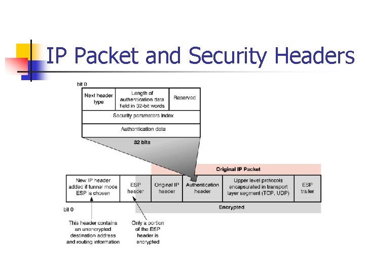 IP Packet and Security Headers 