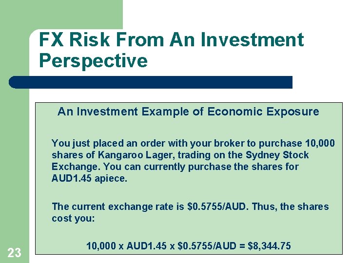 FX Risk From An Investment Perspective An Investment Example of Economic Exposure You just