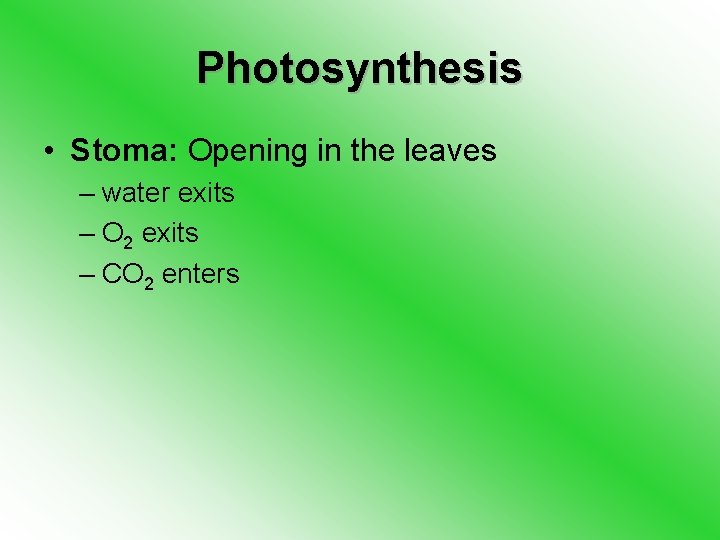 Photosynthesis • Stoma: Opening in the leaves – water exits – O 2 exits